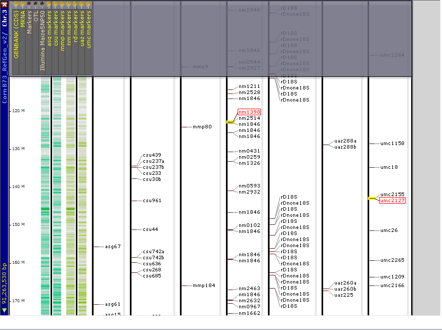 Excel Import - Show Selected Map