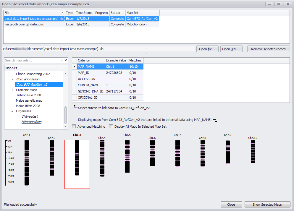 Open File window for Excel data import