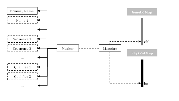 Marker Hierarchy