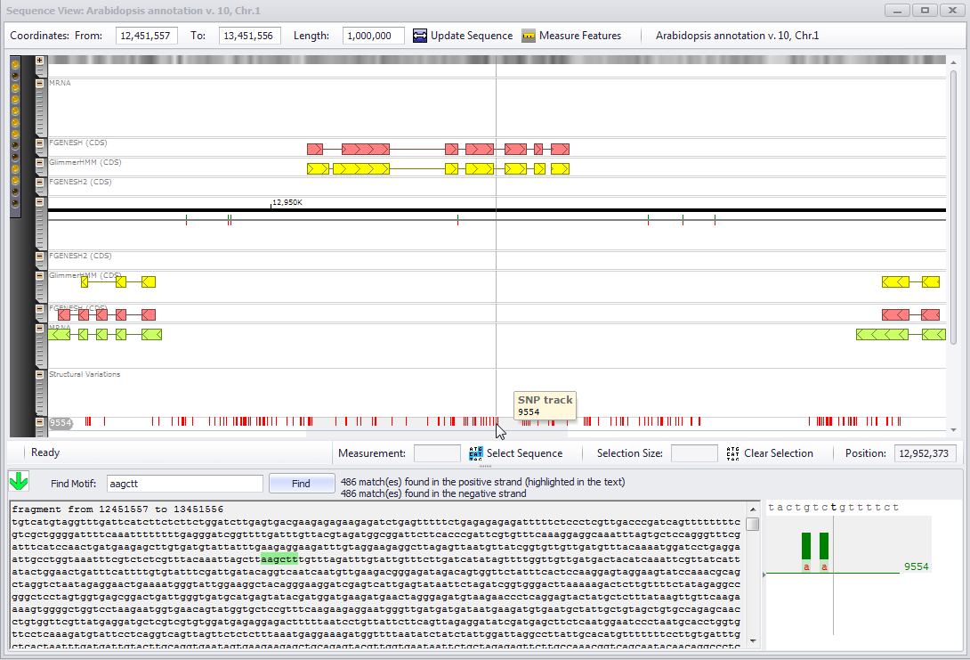 Sequence view window