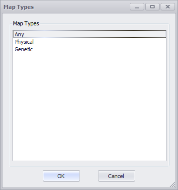Map Type Options Window