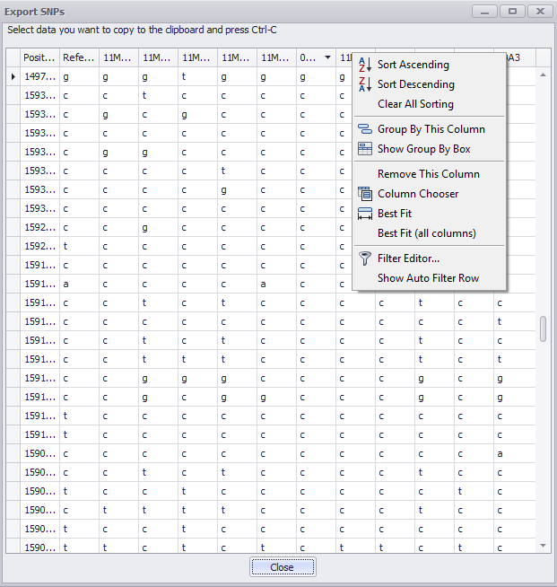 Export SNPs Window