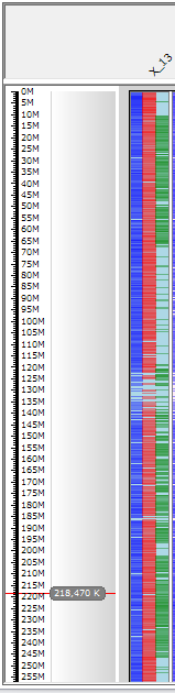 SNP Genotype Overlain with a Color